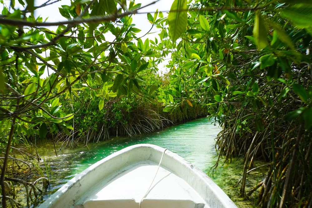 Reserva de la Biosfera de Sian Ka'an